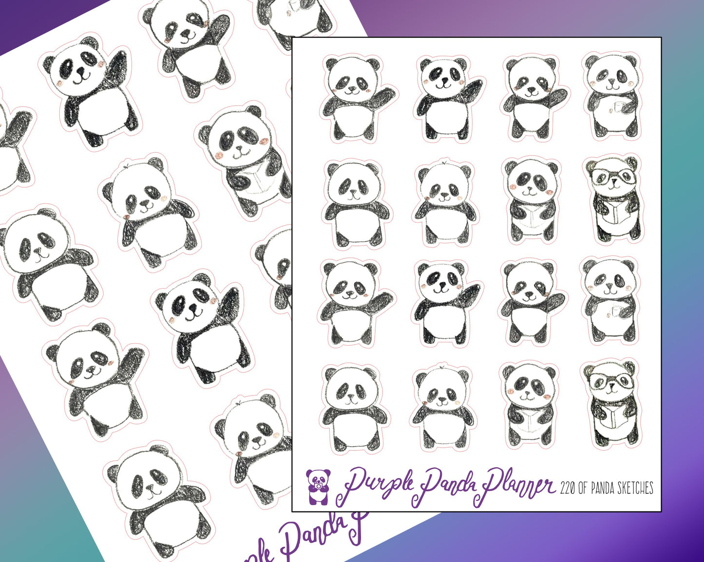 OG Panda Sketches |220|