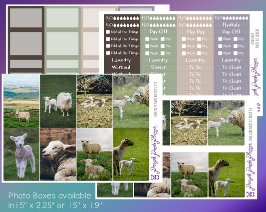 Vertical Weekly Photo Kit | Sheep | Stickers for Planner, or Bullet Journal (K368-371)