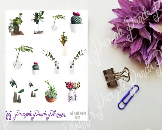 Potted Plant Photo Deco Stickers |142|