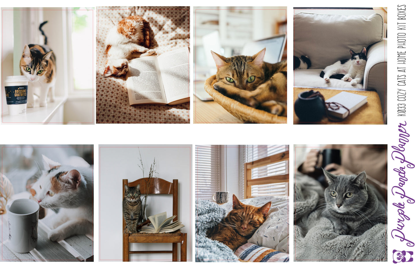 Cozy Cats at Home Photo Kit for Planner or Bullet Journal, Functional Stickers (K033)