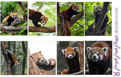 Red Panda Weekly Photo Kit for Planner or Bullet Journal, Functional Stickers | K066 67 68