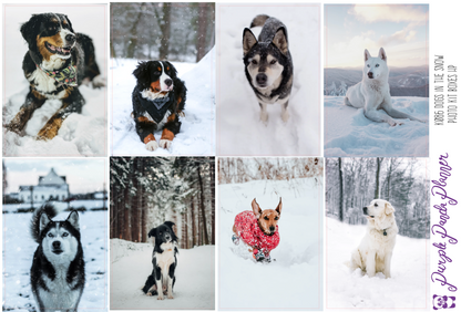 HP Classic - Dogs in the Snow Weekly Photo Kit for Planner or Bullet Journal, Functional Stickers (K086-088)