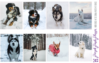 Standard Vertical - Dogs in the Snow Weekly Photo Kit for Planner or Bullet Journal, Functional Stickers (K089)