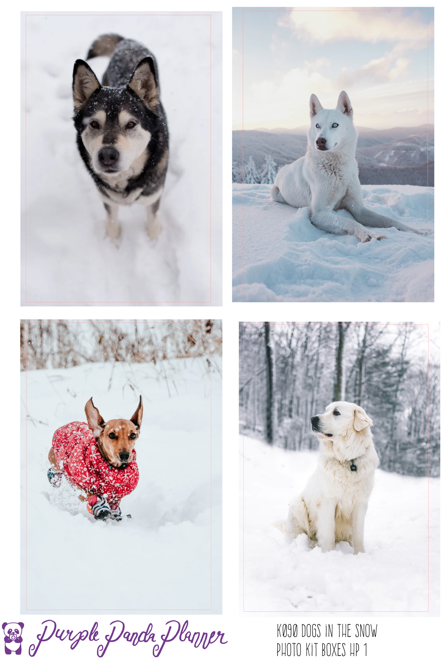 HP Big - Dogs in the Snow Photo Kit for Planner or Bullet Journal, Functional Stickers (K090-93)