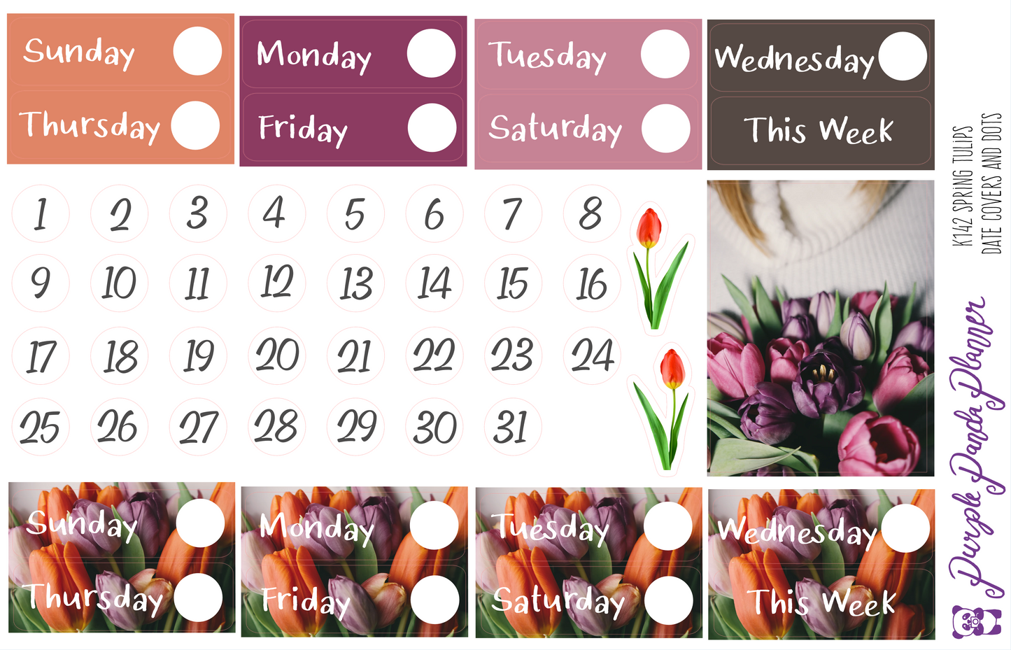 Spring Tulips Date Covers - K142