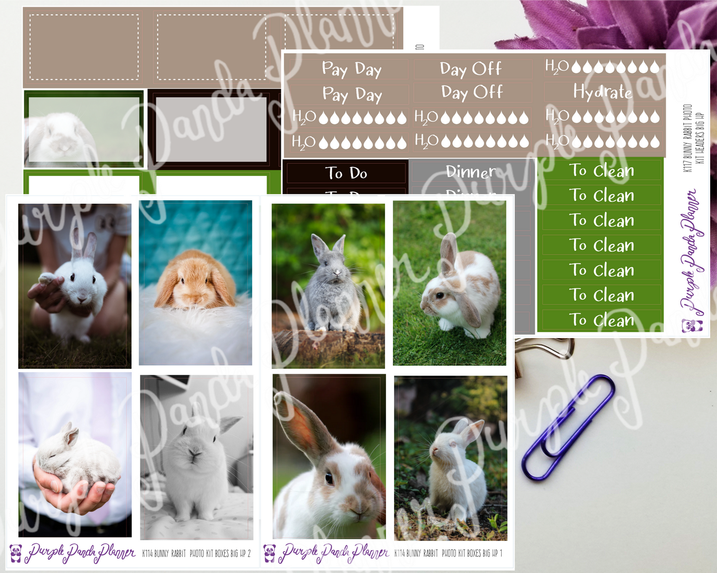 HP Big -Bunny Rabbit Photo Kit for Planner or Bullet Journal, Functional Stickers (K114)