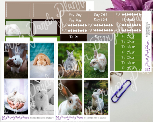 HP Big -Bunny Rabbit Photo Kit for Planner or Bullet Journal, Functional Stickers (K114)