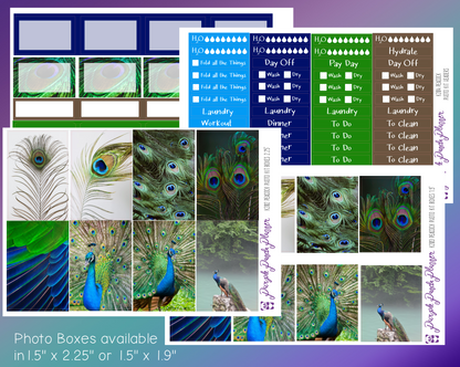 Vertical Weekly Photo Kit | Peacock | Stickers for Planner, or Bullet Journal (K202-205)