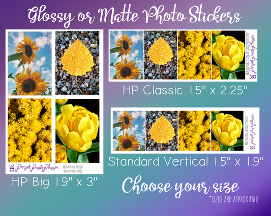 Natural Yellow - Photo Box Quad Collection | Photo Box Planner Stickers