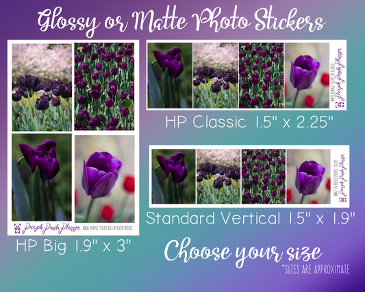 Purple Tulips - Photo Box Quad Collection | Photo Box Planner Stickers
